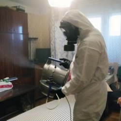 Дезинфекция от клопов в Шиханах